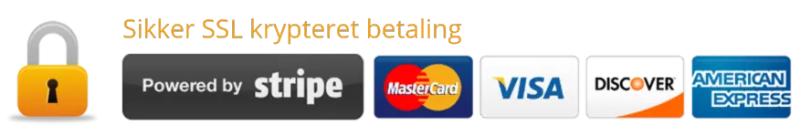 Stripe Payment Logo